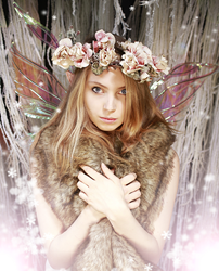 fairy photography fantasy legend photoshoot england magic snow brings childhood portraits east amazing south into over